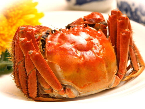 ‘开云电竞官方网站’陈志朋卸妆恶搞自拍 笑称自己为十八银人(