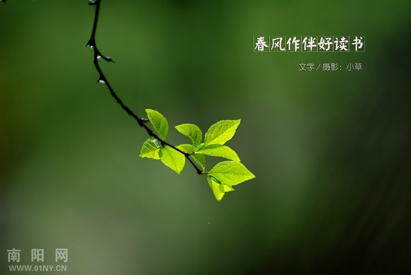 周海媚与工作室成员韩国开心自拍:开云电竞(图3) 开云电竞