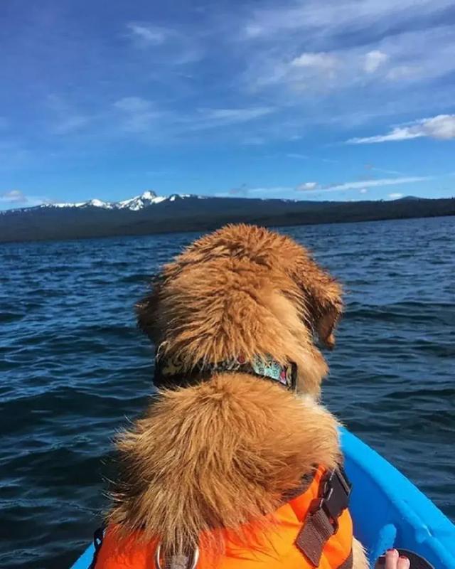 MERS与SARS谁更危险？_开云电竞中国