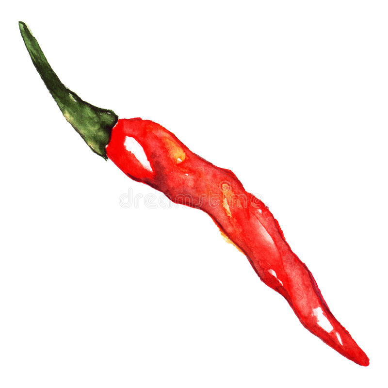 开云电竞官方网站