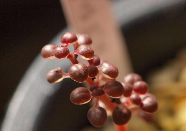 索帅批曼联像踢纪念赛不配胜利 球迷:小丑!快下课!_开云电竞