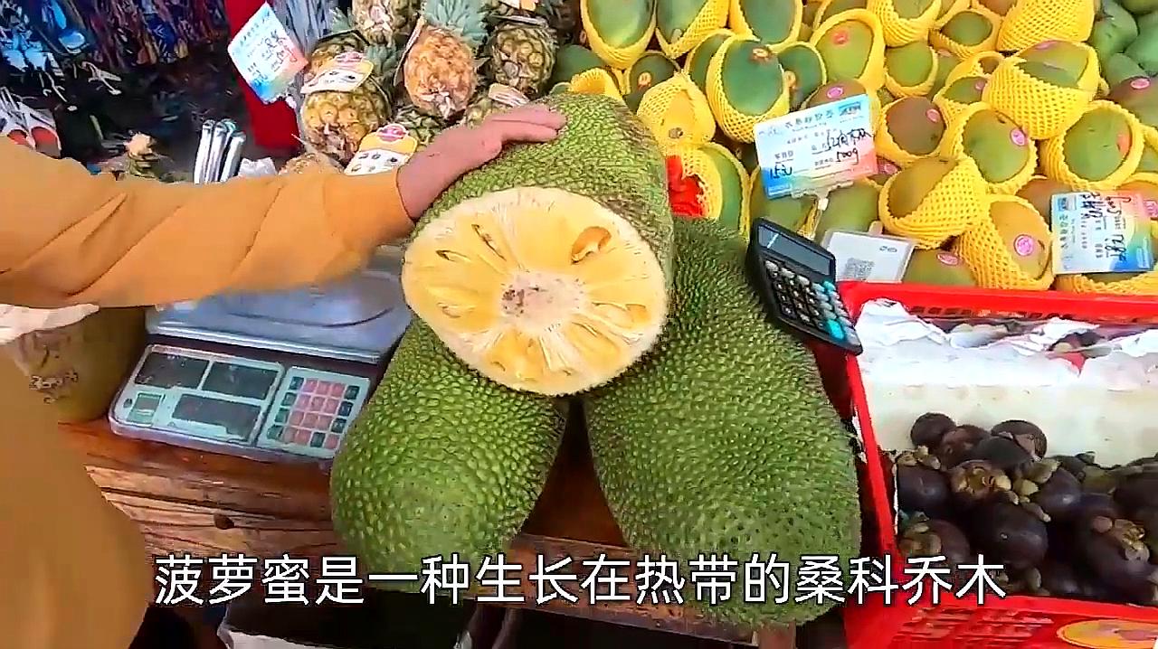 陈柏霖糖果广告花絮曝光 造型清新尽显鬼马本色【开云电竞官方网站】(图4) 开云电竞官方网站