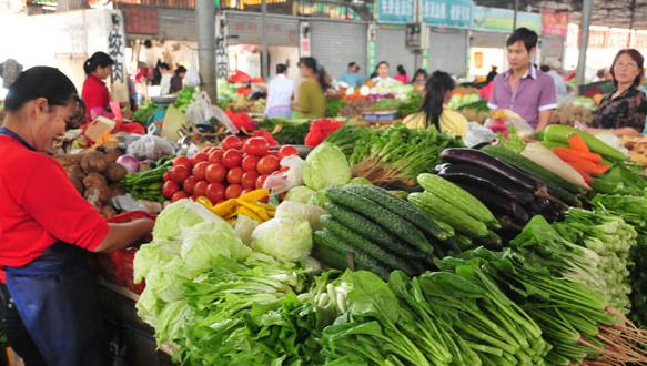 【开云电竞官方网站】广州发布6千余字防控登革热工作指引