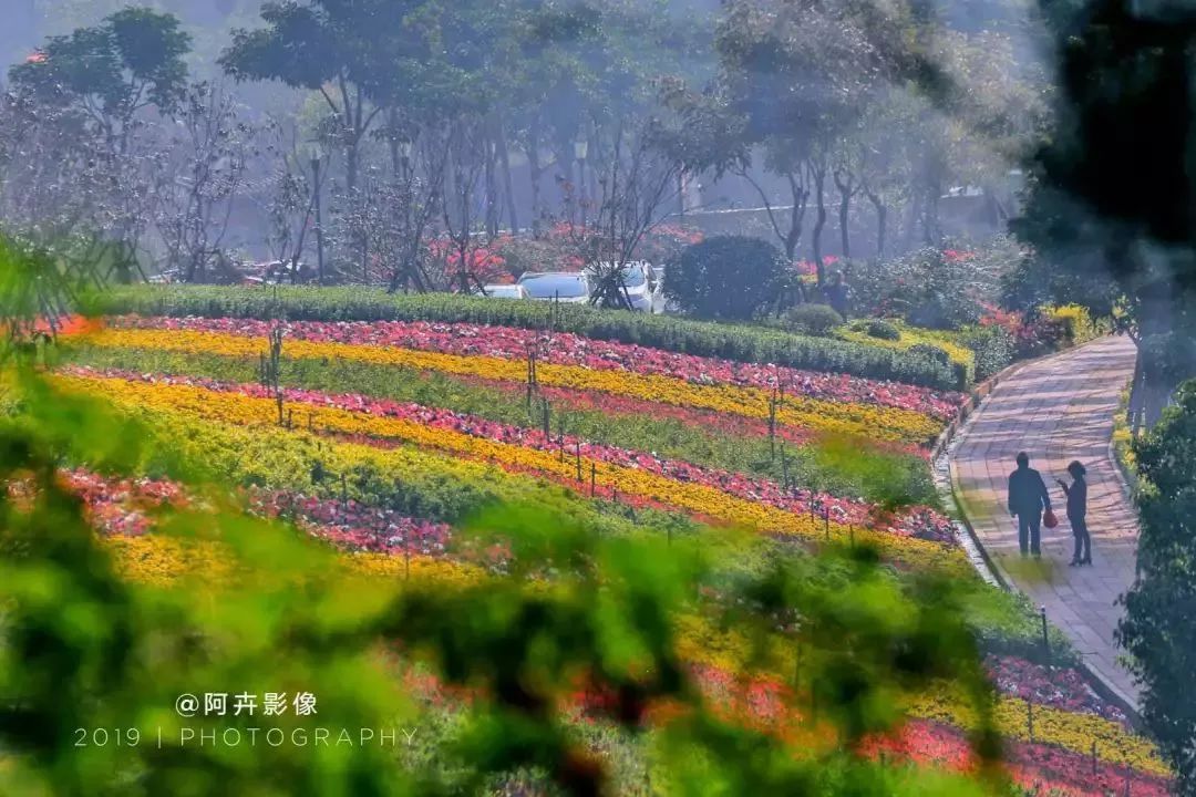 ‘开云电竞中国’女性容颜必需的维生素 维生素能让女性保持容颜