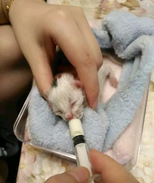 开云电竞|职业病劳动者成维权弱势群体