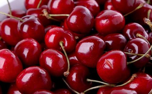 全民健身日让运动细胞“燃”起来：开云电竞