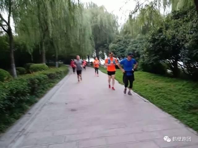 开云电竞官方网站