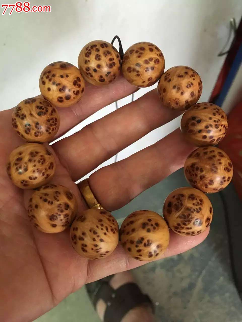 开云电竞官方网站