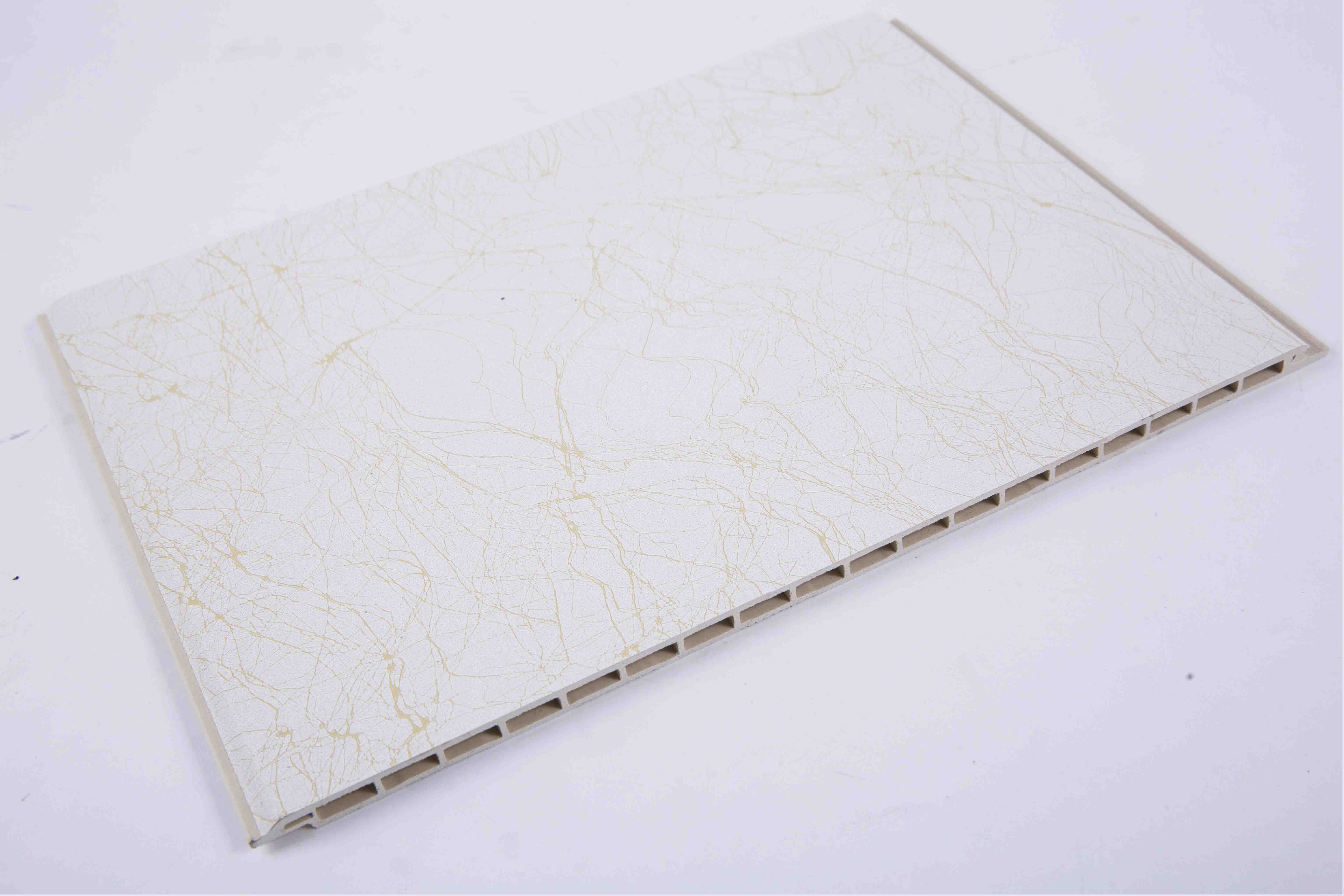 魔力鸟：我会让博格巴成为巨星“开云电竞中国”